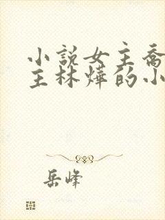 小说女主乔念男主林烨的小说