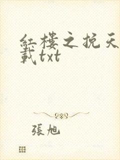 红楼之挽天倾下载txt