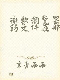 微软浏览器下载的文件在哪