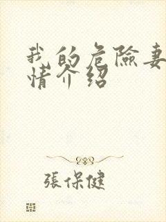 我的危险妻子剧情介绍