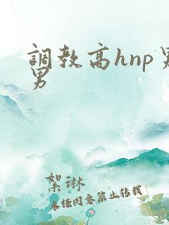 调教高hnp男男