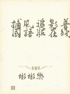 捕风追影普通话国语版在线播放