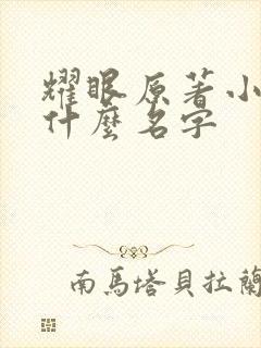 耀眼原著小说叫什么名字