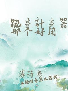 跑步计步器软件哪个好用