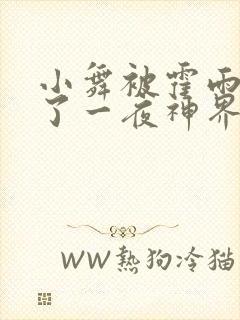 小舞被霍雨浩c了一夜神界