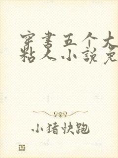 穿书五个大佬太粘人小说免费阅读
