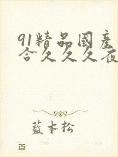 91精品国产综合久久久夜…