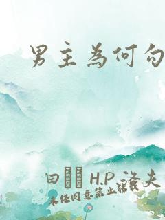 男主为何勾引我