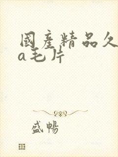 国产精品久久久a毛片