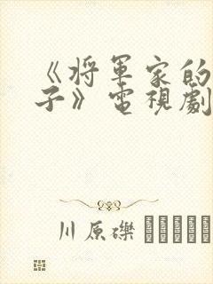 《将军家的小儿子》电视剧