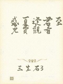 盛夏逢君至短剧免费观看