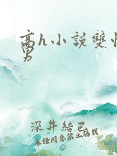 高h小说双性男男