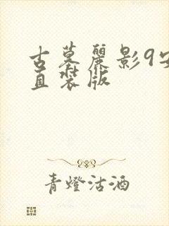 古墓丽影9安卓直装版