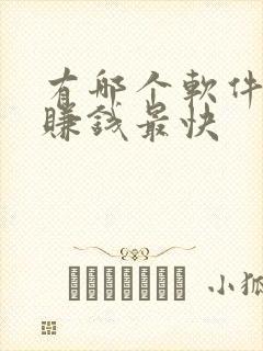 有哪个软件可以赚钱最快