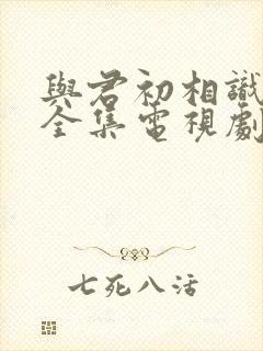 与君初相识免费全集电视剧