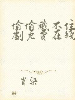 偷偷藏不住电视剧免费在线播放