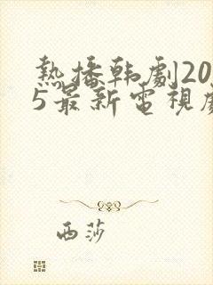 热播韩剧2025最新电视剧大全
