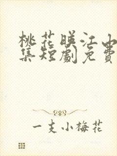 桃花映江山60集短剧免费观看