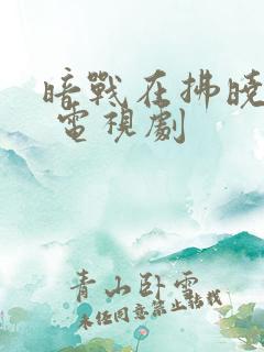 暗战在拂晓之前 电视剧