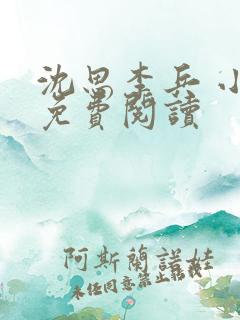 沈思李兵 小说免费阅读