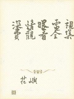 深情眼电视剧免费观看全集高清流畅