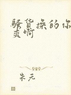 骚货操的你爽不爽啊