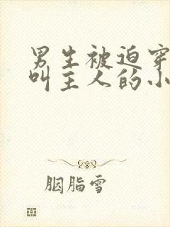 男生被迫穿女装叫主人的小说