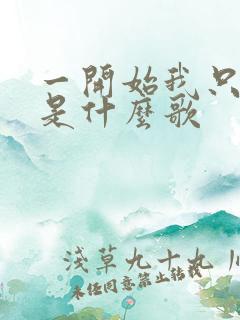 一开始我只相信是什么歌