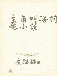 主角叫洛羽的穿越小说