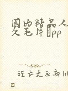 国内精品人妻久久毛片αpp