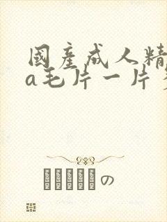 国产成人精品aa毛片一片多