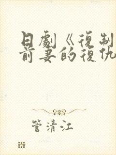 日剧《复制体:前妻的复仇》免费观看全集