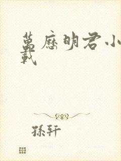 万历明君小说下载