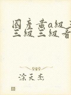 国产黄a级三级三级三级看三级