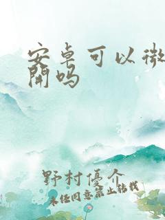 安卓可以微信双开吗