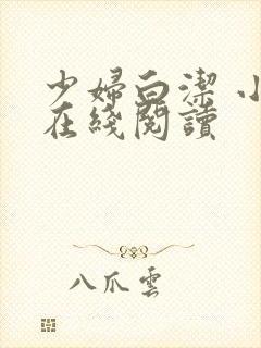 少妇白洁 小说在线阅读