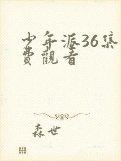 少年派36集免费观看