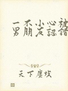 一不小心被室友男朋友认错后小说