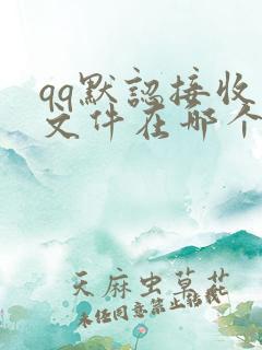 qq默认接收的文件在哪个文件夹