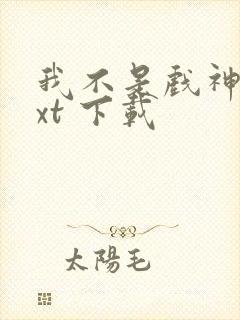 我不是戏神 txt 下载