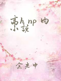 高h np 肉小说