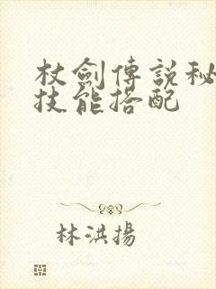 杖剑传说秘术师技能搭配