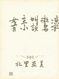 女主叫微凉的所有小说名字