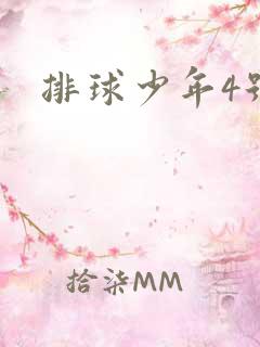 排球少年4号