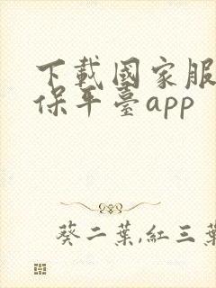 下载国家服务医保平台app