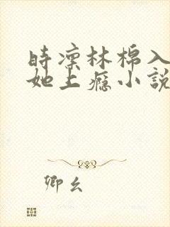 时凛林棉入夜对她上瘾小说免费阅读全文