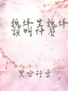 魏坪生魏坪政小说叫什么