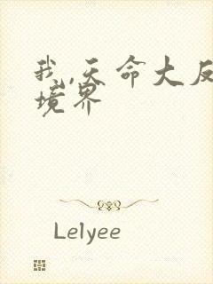 我,天命大反派境界