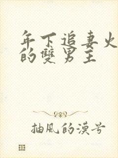 年下追妻火葬场的双男主