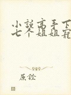 小说高手下山被七个姐姐宠上天免费